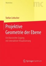 Projektive Geometrie der Ebene