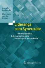 Lideranca com Synercube