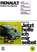 Renault R 16 (alle Modelle)