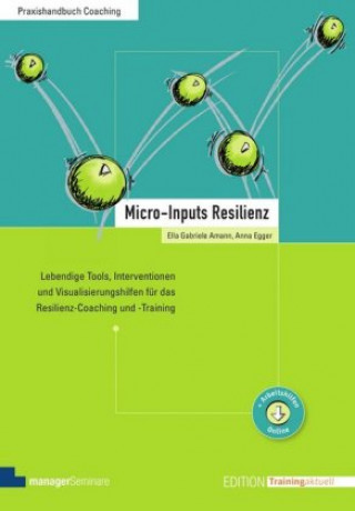 Micro-Inputs Resilienz