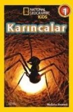 Karincalar - Seviye 1