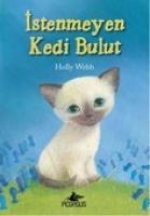 Istenmeyen Kedi Bulut