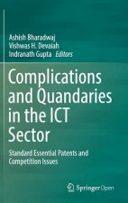 Complications and Quandaries in the ICT Sector