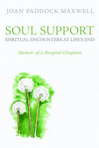 Soul Support: Spiritual Encounters at Life's End