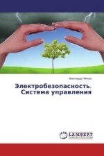 Jelektrobezopasnost'. Sistema upravleniya