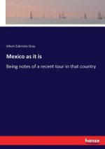 Mexico as it is