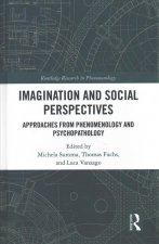 Imagination and Social Perspectives