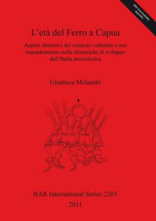 eta del Ferro a Capua Aspetti distintivi del contesto culturale e suo inquadramento nelle dinamiche di sviluppo dell'Italia protostorica