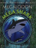 Graphic Prehistoric Animals: Mega Shark
