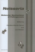 Neisseria
