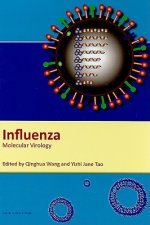Influenza
