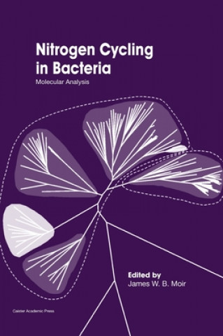 Nitrogen Cycling in Bacteria