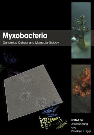 Myxobacteria