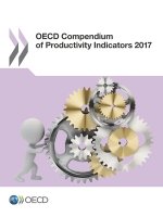 OECD compendium of productivity indicators 2017