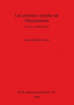 premiers temples de Mesopotamie