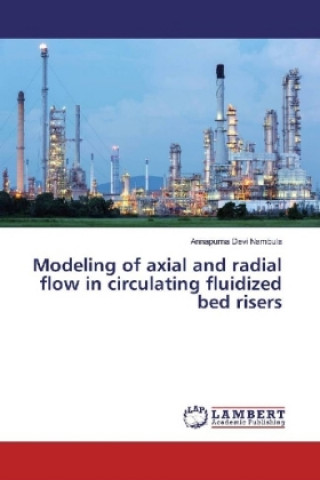 Modeling of axial and radial flow in circulating fluidized bed risers