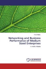 Networking and Business Performance of Medium Sized Enterprises