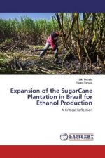 Expansion of the SugarCane Plantation in Brazil for Ethanol Production