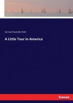 Little Tour in America