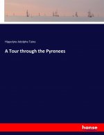 Tour through the Pyrenees