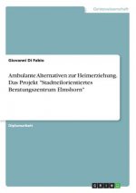 Ambulante Alternativen zur Heimerziehung. Das Projekt 