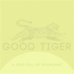 A Head Full of Moonlight