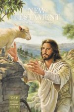 New Testament Outreach Bible Case of 50