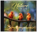 Birdsymphony
