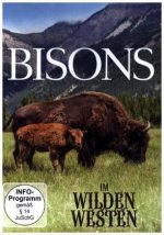 Bisons im wilden Westen, 1 DVD