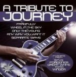 A Tribute To Journey