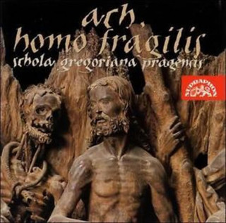 Ach,Homo Fragilis