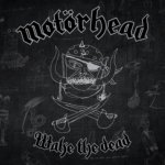 Wake The Dead (Ltd.Box Set)