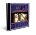 Temple Of The Dog