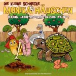 Warum haben Schildkröten keine Zähne?, 1 Audio-CD