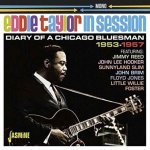 Diary Of A Chicago Bluesman