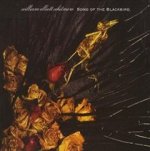 Song Of The Blackbird