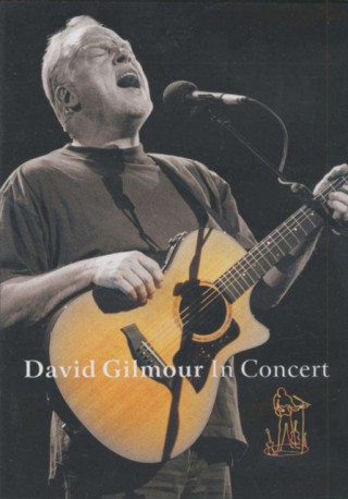 David Gilmour - David Gilmour In Concert