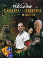 Climbers and Creepers Creation Cards
