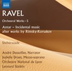 Orchesterwerke Vol.5