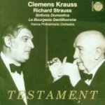 Sinfonia Domestica/Der Bürger