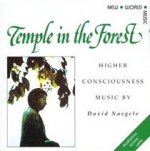 Temple In The Forest