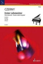 Erster Lehrmeister