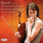 Violinkonzerte BWV 1041/1042/1053/1060
