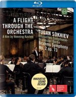 Der Orchesterflug-Brahms Sinfonie 2