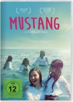 Mustang, 1 DVD