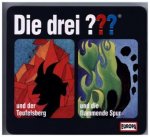 Die drei ??? - Steelbook. Tl.10, 2 Audio-CDs