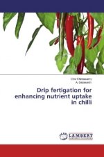 Drip fertigation for enhancing nutrient uptake in chilli