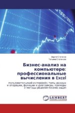 Biznes-analiz na komp'jutere: professional'nye vychisleniya v Excel