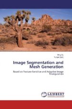 Image Segmentation and Mesh Generation