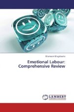 Emotional Labour: Comprehensive Review